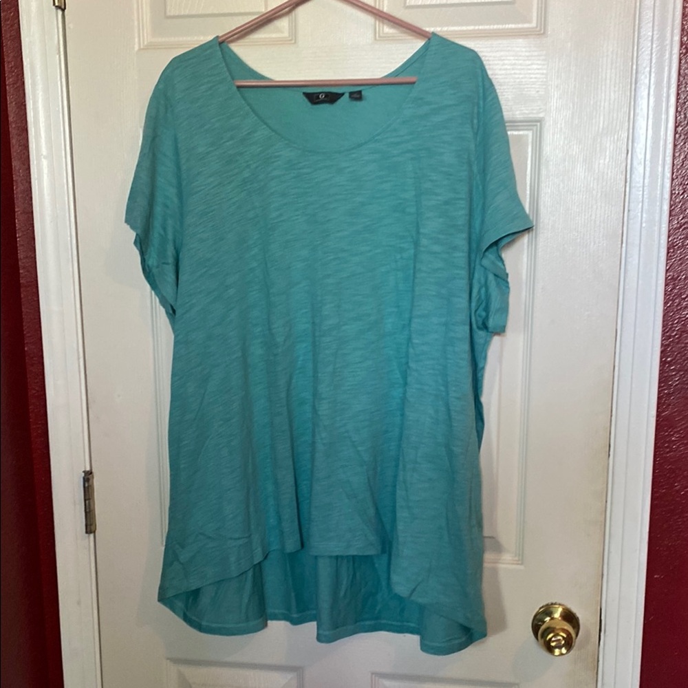G by Giuliana Green and Blue Dolman Sleeve Tunic